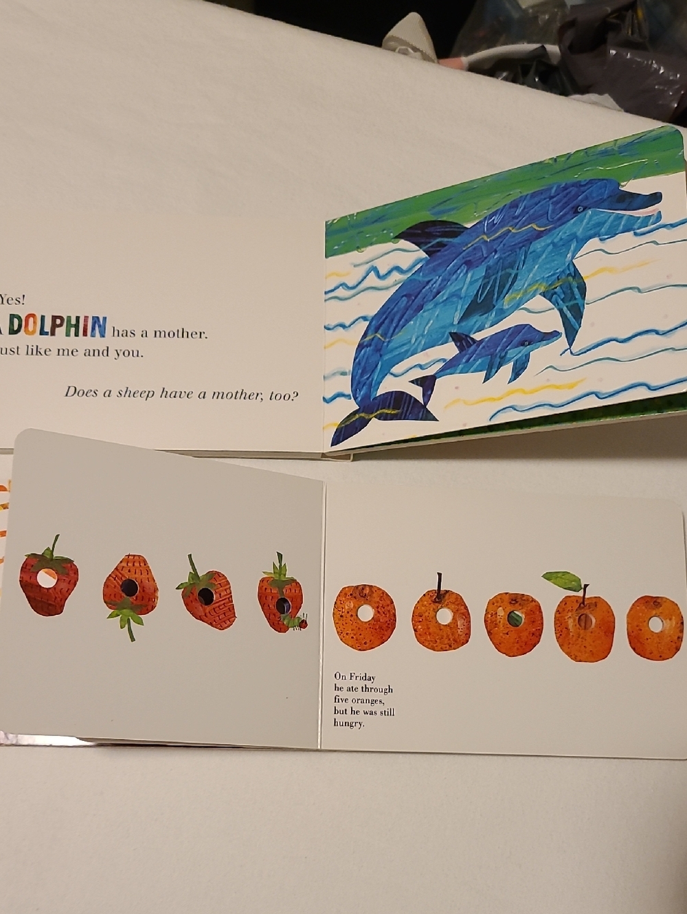 Eric Carle Caterpillar Seahorse Kangaroo Board Books, Jamberry, Lot of 4 - Picture 8 of 13
